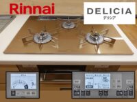 Rinnai_RHS71W31E12RCSTW