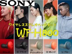 sony_WF-H800
