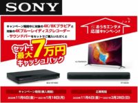 Sony Home Entertainment Support Campaign 2020