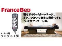 relaxing-massage-while-you-sleep-a-bed-type-massage-device-that-can-be-easily-operated-with-one-button_francebed