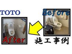 example-9-of-a-toilet-seat-installation_toto