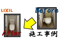 case-11-of-a-toilet-seat-installation_lixil